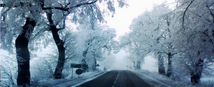 Busy do Niemiec Wrocław