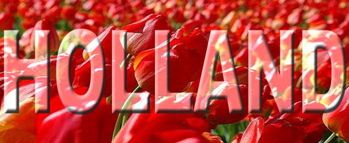 Przewóz osób busami do Niemiec i Holandii z Dolnego Śląska